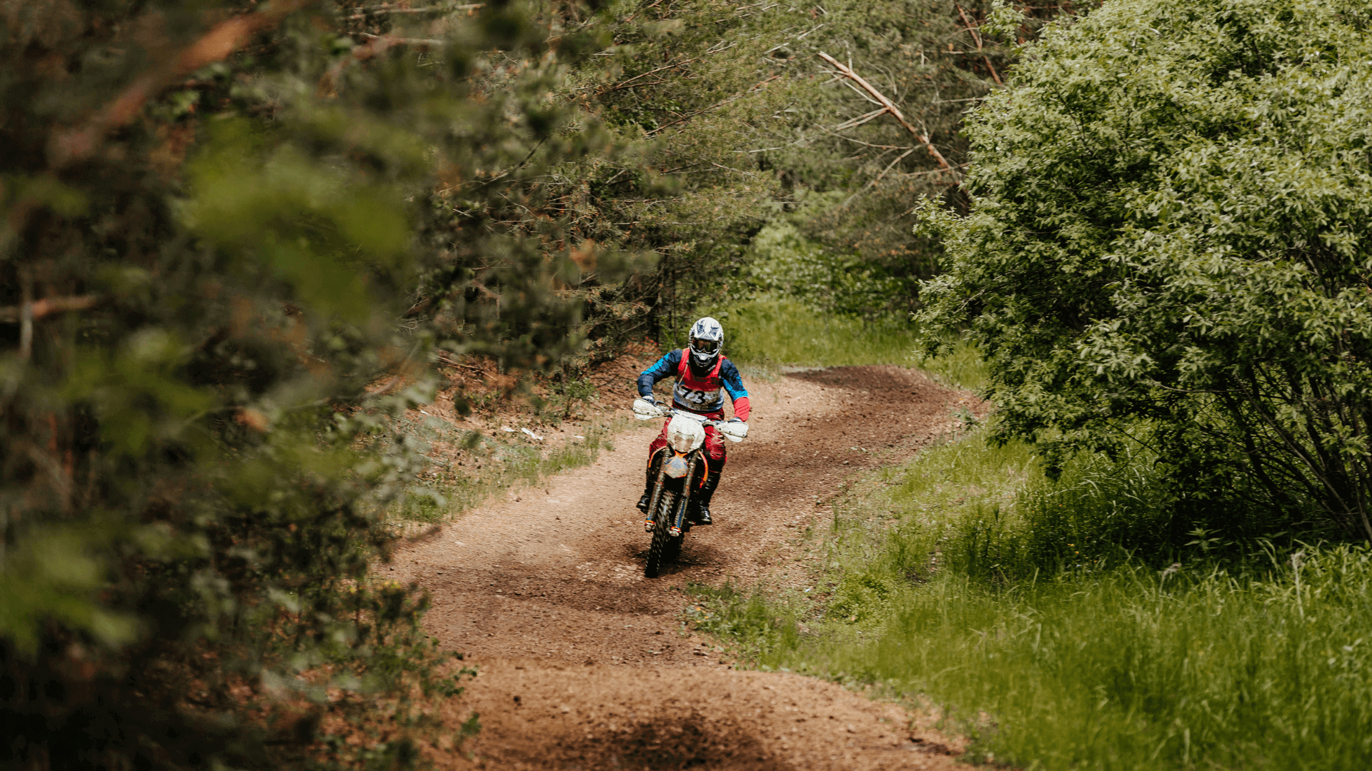 Moto cross en forêt